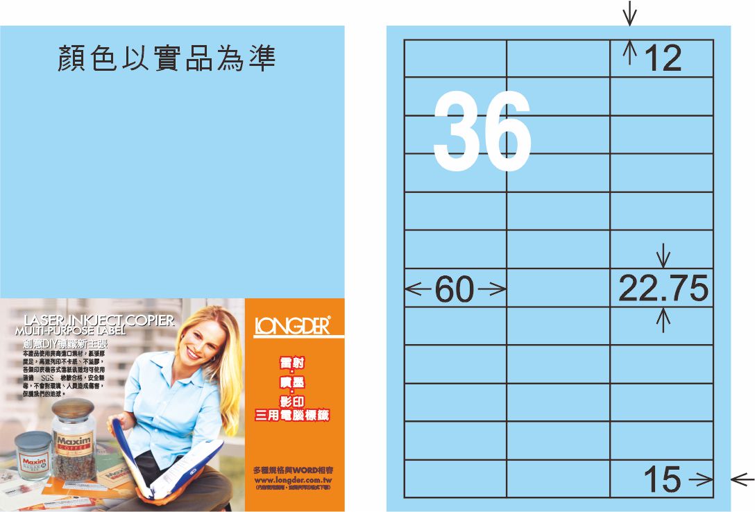 龍德 LD-874-B-C A4三用電腦標籤 淺藍色 / 包