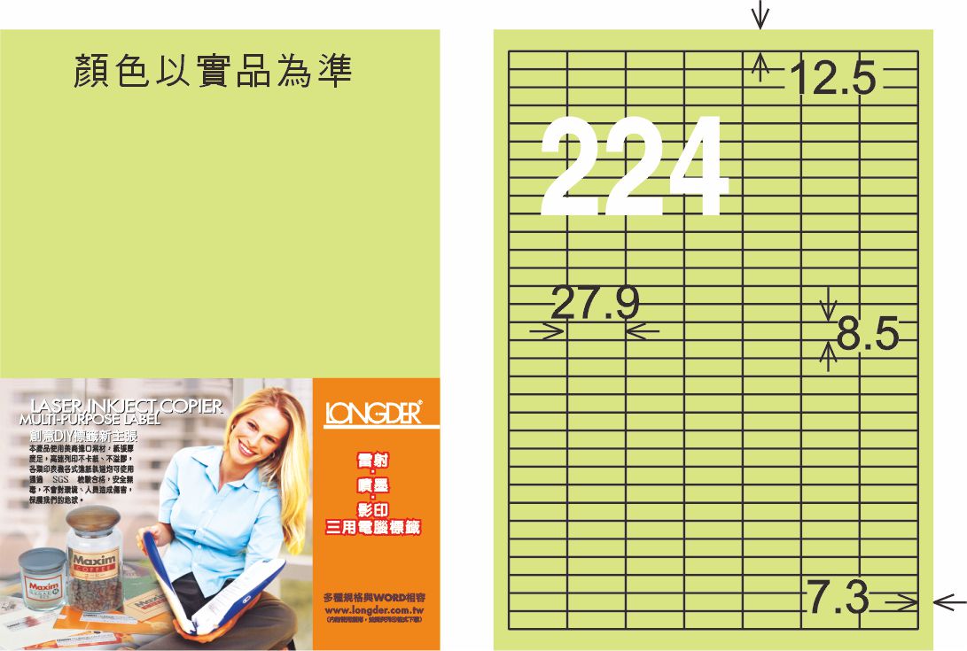 龍德 LD-872-G-C A4三用電腦標籤 淺綠色 / 包