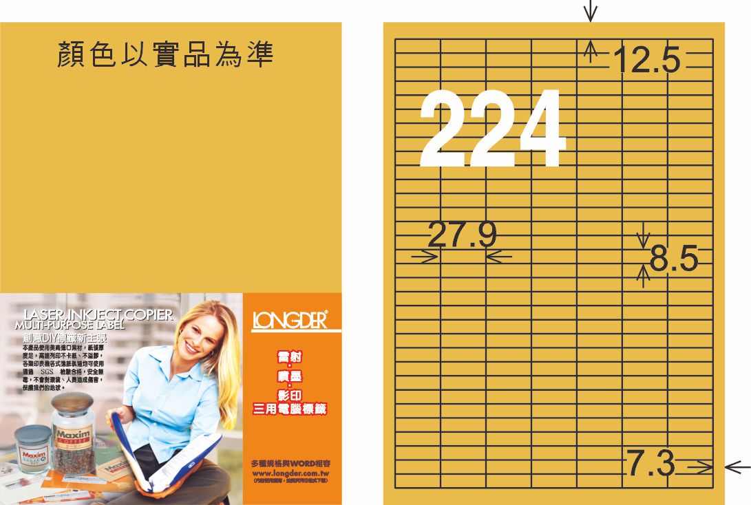 龍德 LD-872-M-C A4雷射影印標籤 金色 / 包