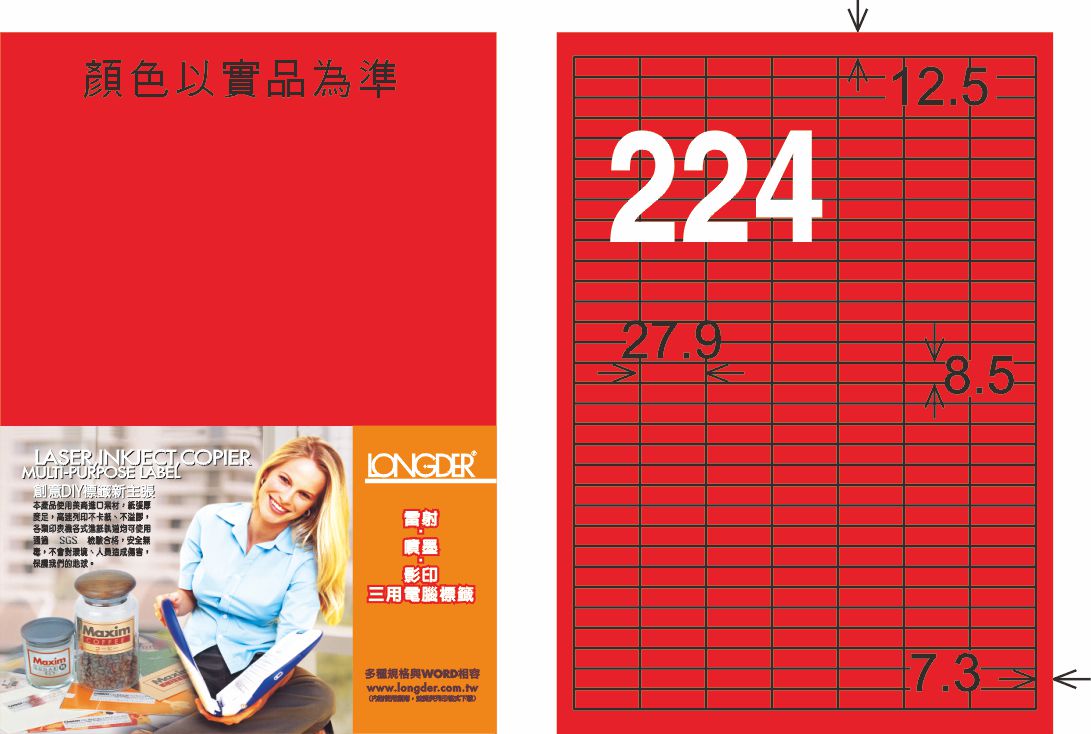 龍德 LD-872-AR-C A4雷射影印標籤 紅銅版 / 包