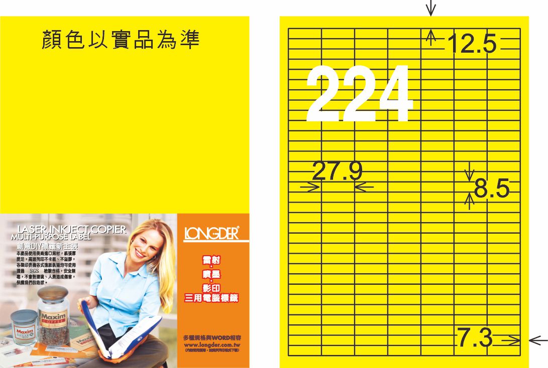 龍德 LD-872-FY-C A4雷射影印標籤 螢光黃 / 包