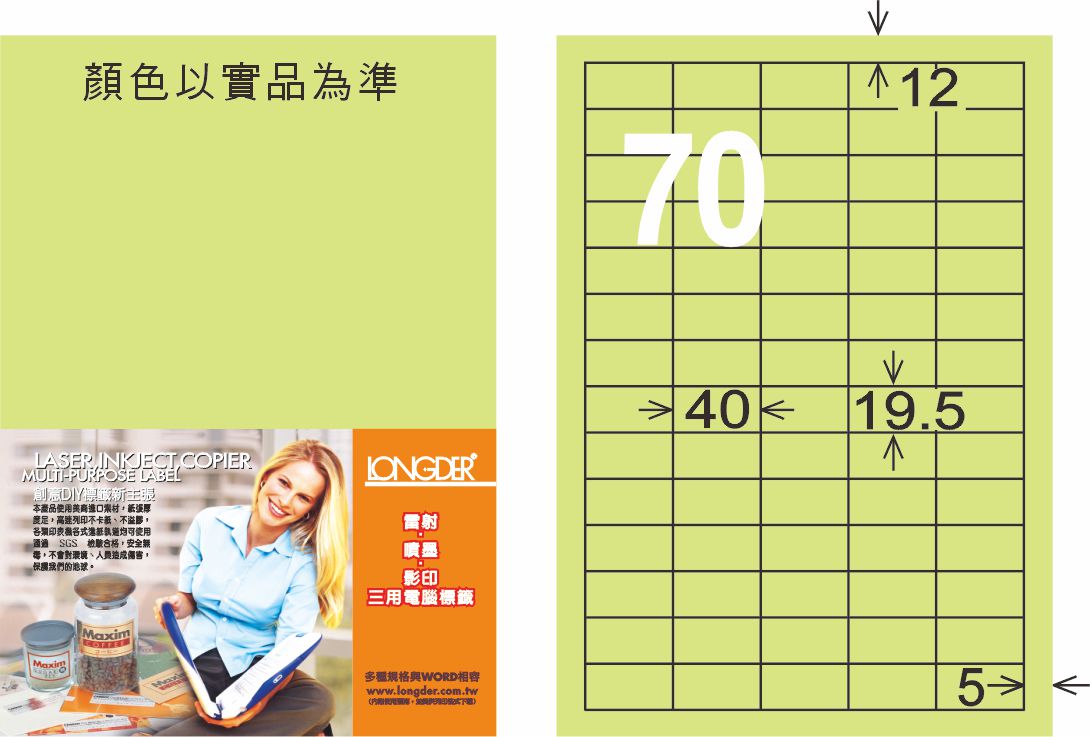 龍德 LD-878-G-C A4三用電腦標籤 淺綠色 / 包