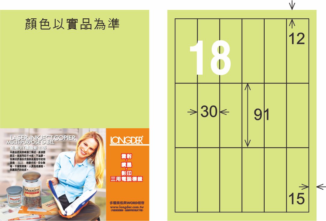 龍德 LD-879-G-C A4三用電腦標籤 淺綠色 / 包