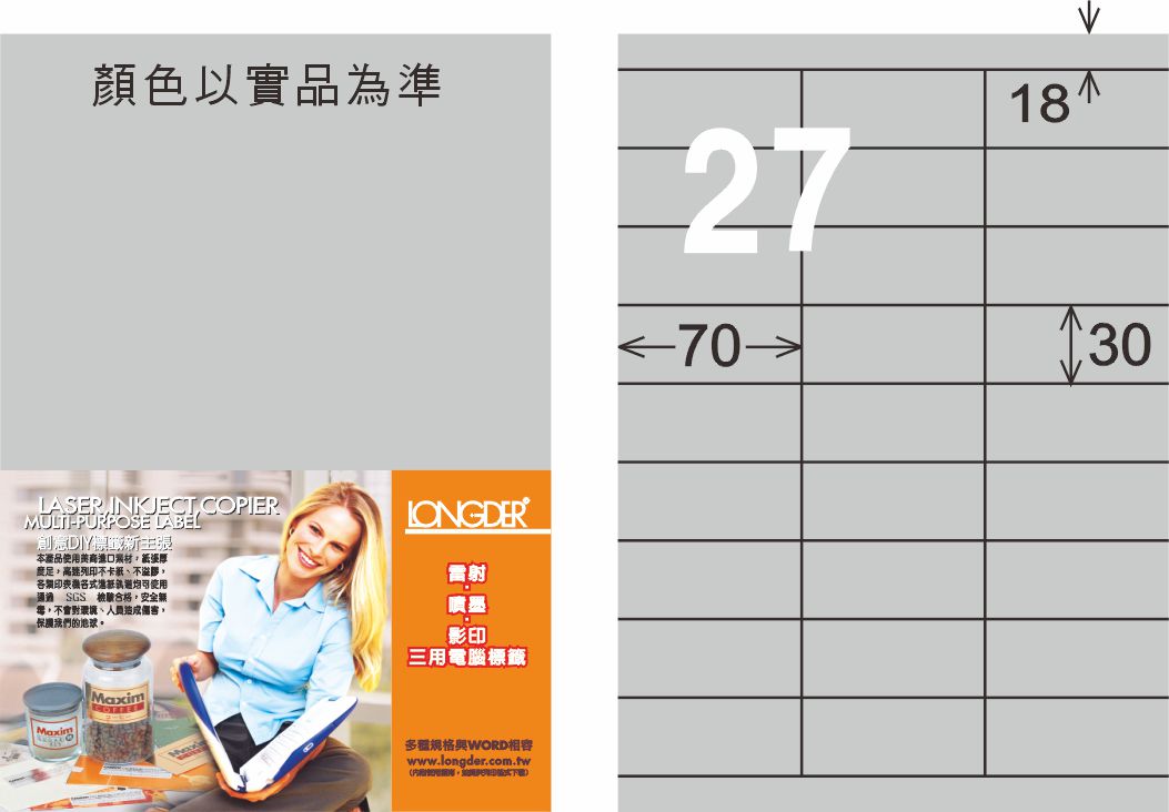 龍德 LD-876-S-C A4雷射影印標籤 銀色 / 包