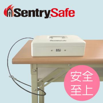 {振昌文具}【請先來電洽詢庫存】【台灣金庫王】 SENTRYSAFE 安全至上多功能萬用收納盒  MD18C /  個