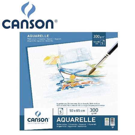 法國 CANSON  美術專用紙 200005794 水彩紙 50*65cm 白 無酸 防霉 /5張入