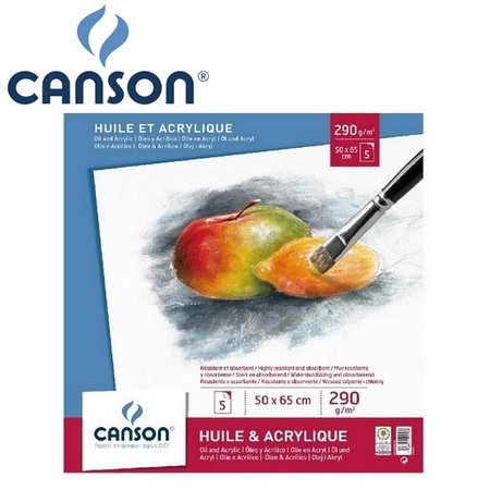法國 CANSON  美術專用紙 200005793 油畫 壓克力 50*65cm 白 畫紙 無酸 /5張入