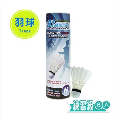 {振昌文具}【成功success】 特波士 藍標練習羽球(6入) 45091