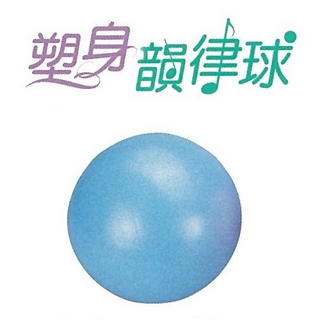 {振昌文具}{請先來電洽詢}【成功success】瑜珈專用塑身韻律球 20cm  S3801 / 個