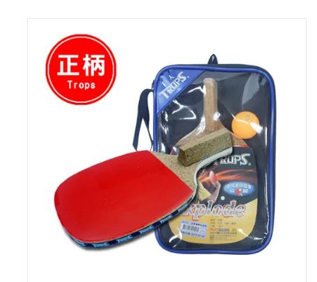 {振昌文具}【成功success】特波士 正柄五夾反膠桌拍(標準級)44102