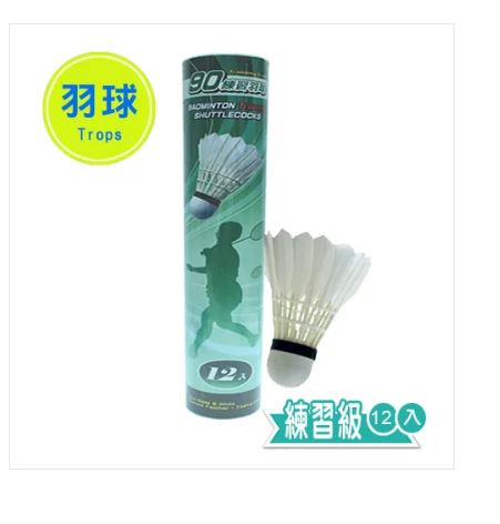{振昌文具}【成功success】特波士 綠標練習羽球(12入)<僅宅配> 45090A